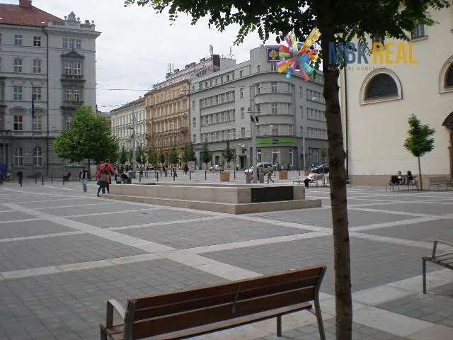 Fotka 10 z 14